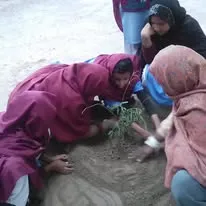 Green Seekers Activity